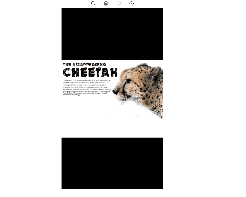 Cheetah Image Progression.gif